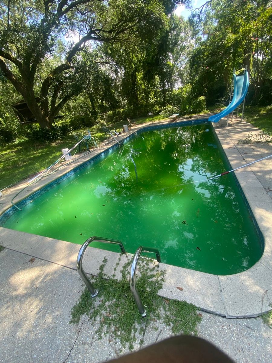 Backyard pool before cleaning, green water