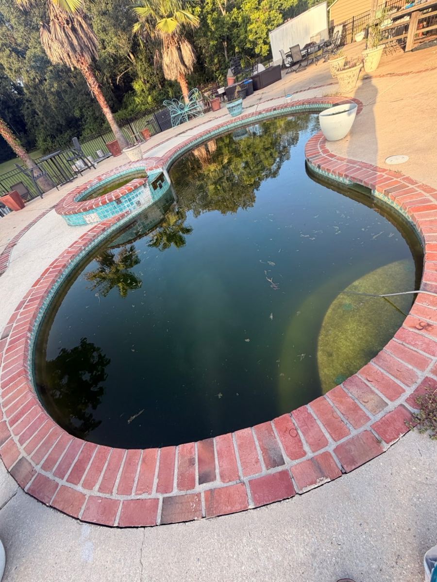 Pool & spa before cleaning, green water