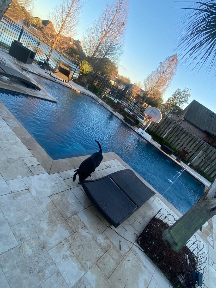 Featured pool at sunset